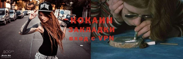 дживик Богородск