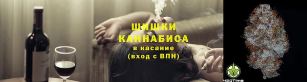 дживик Богородск