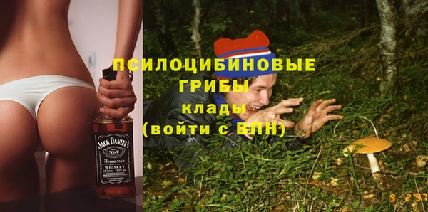 крисы Богданович