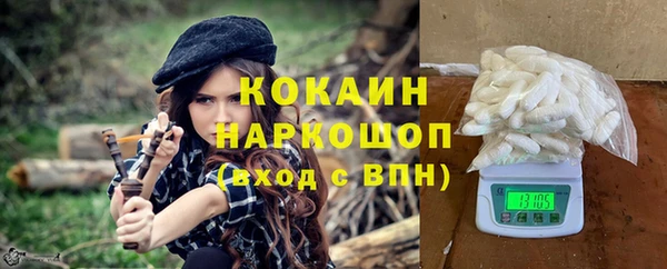 дживик Богородск