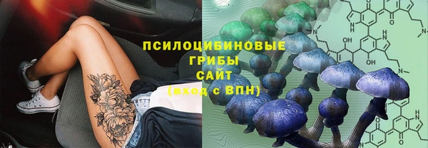 кристаллы Богородицк