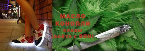 дживик Богородск