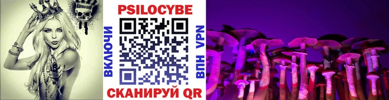 Галлюциногенные грибы Psilocybe  наркотики  Козельск 